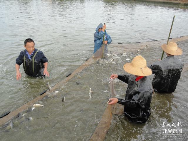 抚仙地区揭秘，探寻早期动物形态，揭开生命起源的奥秘（距今约五亿年前）