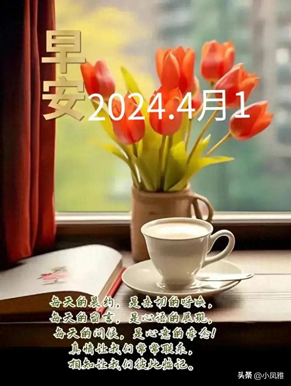 2024年天天彩免费资料,绝对经典解释落实_VE版84.365