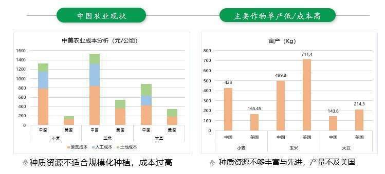 澳门天天开彩大全免费,数据驱动执行设计_set61.466