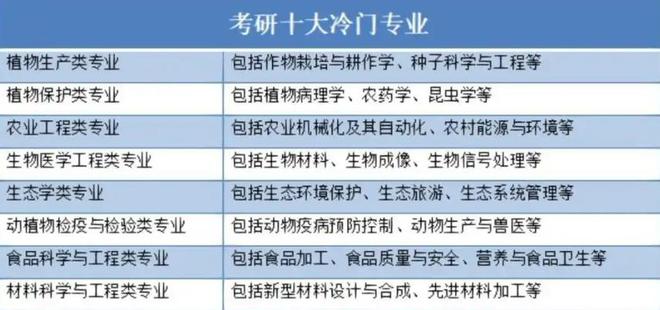 聚焦考研热潮，2025年报名人数达388万背后的故事