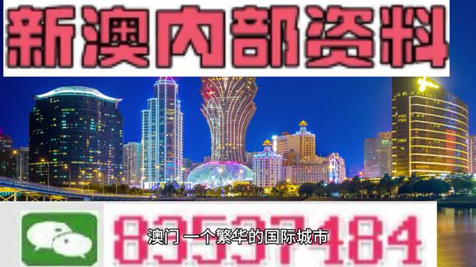 2024新澳最精准资料,权威数据解释定义_顶级款46.889