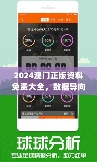 2024新澳门正版精准免费大全,重要性解释定义方法_Elite56.585