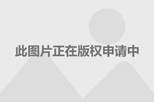 黄大仙免费资料大全最新,权威诠释推进方式_Hybrid68.656