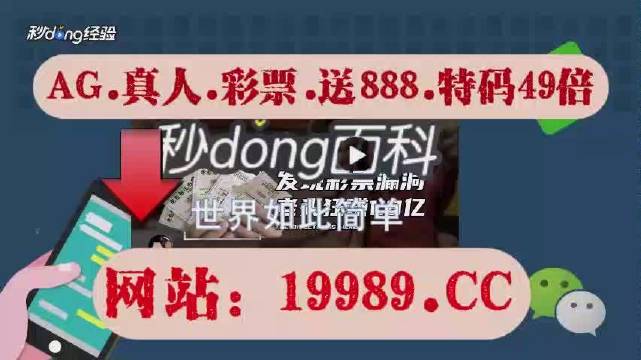 2024澳门天天开好彩大全正版,专业执行解答_soft85.334