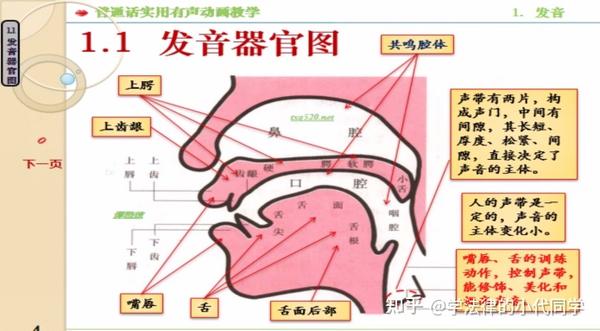 牙音发声技巧与训练秘籍