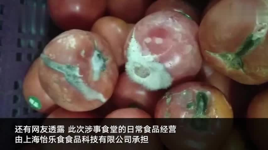 上海某学校食物出现变质有虫现象，深度探究背后的原因与反思