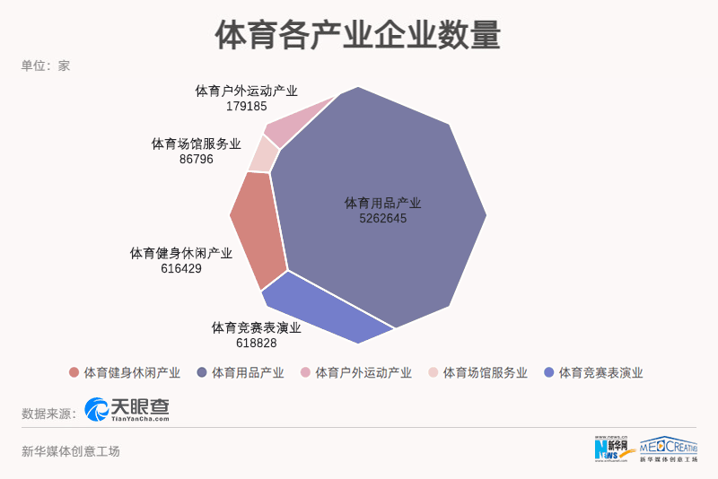 体育器材产业，蓬勃发展与创新挑战并存