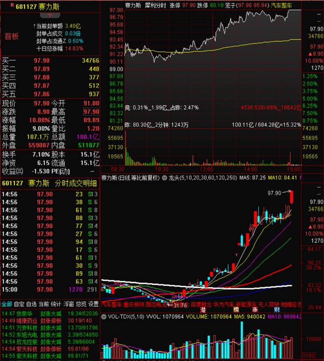 赛力斯股票涨停，深度解析及前景展望