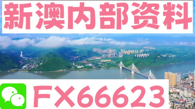 新澳精准资料免费提供网站,专业问题执行_专家版98.335