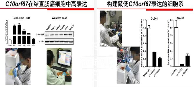 六岁女孩跑完全程马拉松事件引争议，组委会决策受质疑