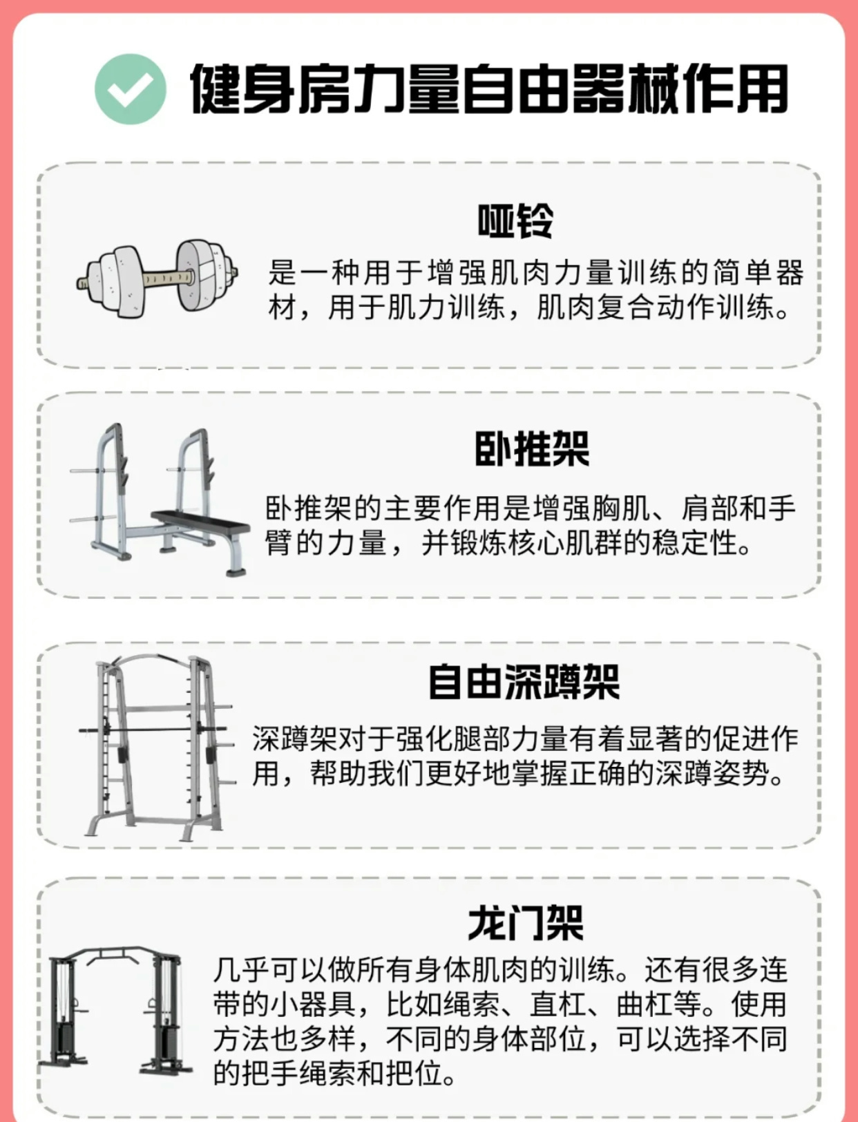 健身器材全面解析，使用指南与技巧