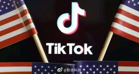 美法院支持强制出售TikTok资产法令，背景、意义与影响深度解析