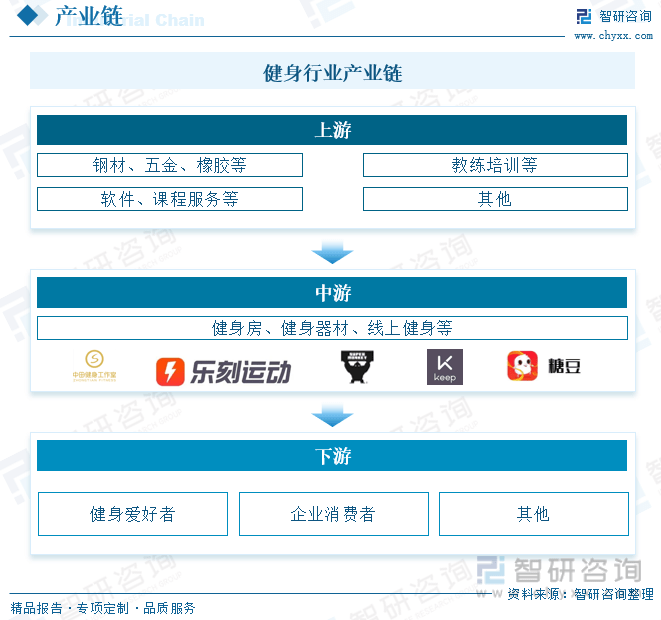 健身器材供应链深度剖析，职责、功能及其重要性