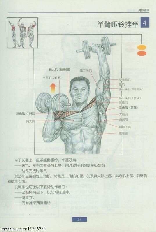 哑铃器械健身教程，全方位指南助你塑造完美身材