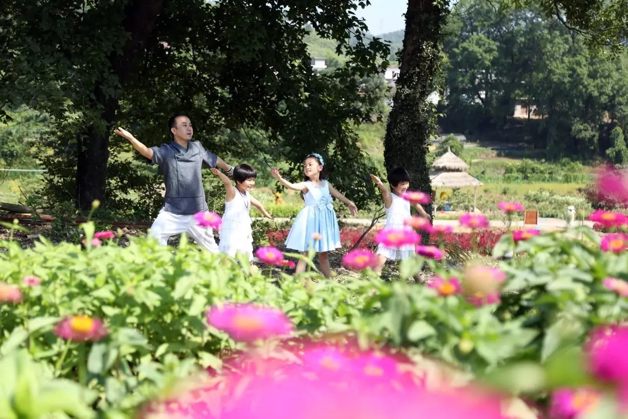 自然之美探索之旅，与幼薇共赏花园的魅力