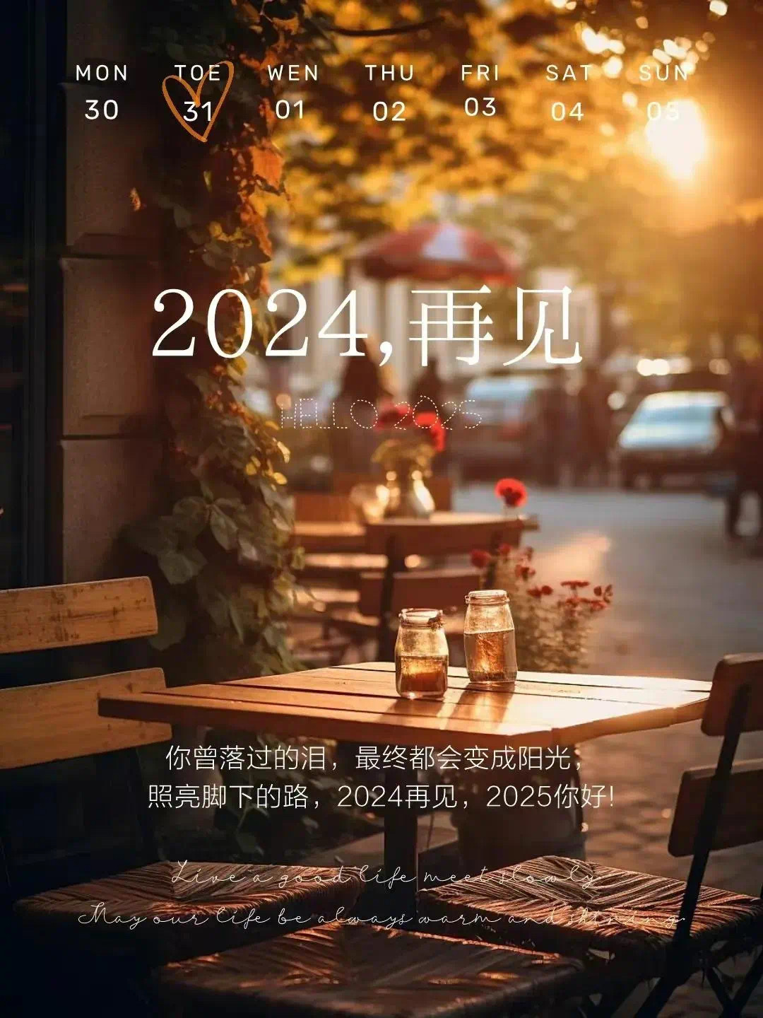 2024年温暖记忆回顾，触动心灵的瞬间