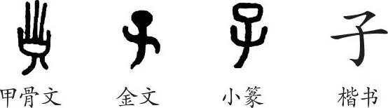 子学，深度解析与探索之旅