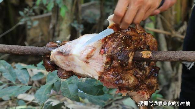 警惕食品安全风险，未烤熟肉串引发脑膜炎病例警示