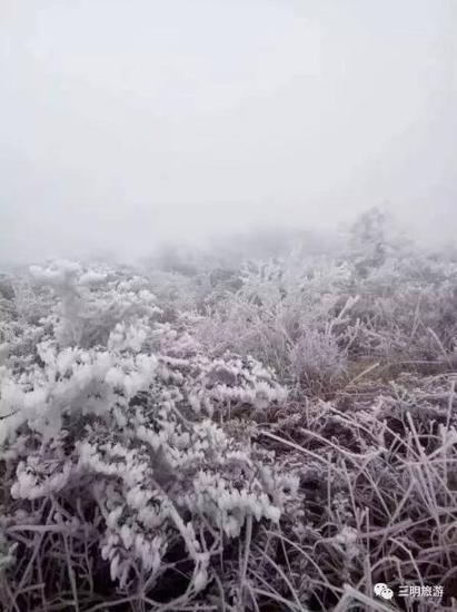 广州破零度，寒冷挑战下的城市独特魅力