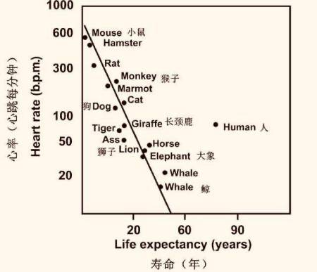 揭秘人类寿命之谜，为何大自然将人类寿命定在一百岁左右？