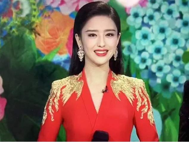 央视春晚四大美女，璀璨舞台的闪耀之星风采