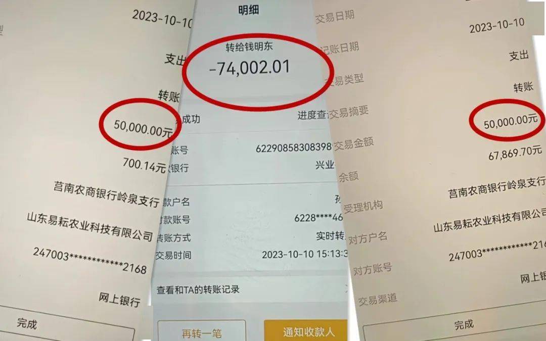 女子巨额资金转移揭秘，1.7亿背后的故事与警示启示