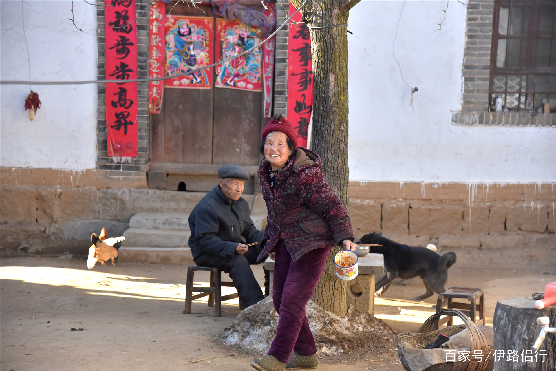 时光倒流见证奇迹，老人从83岁到回村后的年轻岁月，63岁的重生之旅