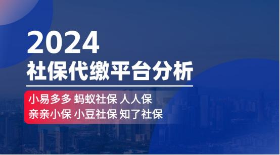 社保代缴灰色产业链，大城市挑战与解决方案探讨