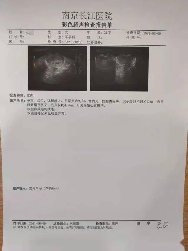 怀孕主播直播遭遇意外，设备砸伤引发关注事件，脑震荡牵动人心