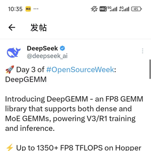 DeepGEMM发布亮点及应用前景探讨，DeepSeek开源周第三天揭秘新进展