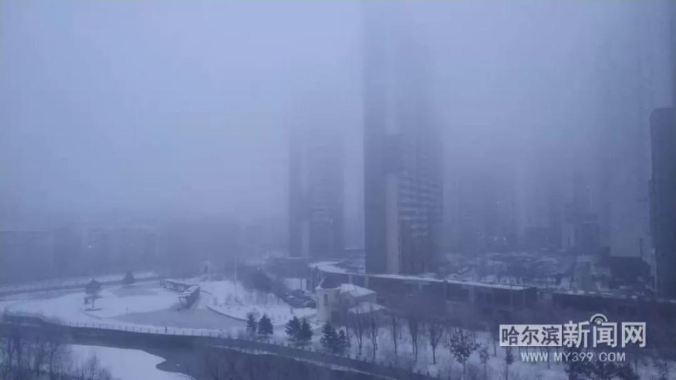 应对极端天气挑战，寒潮、暴雪、大雾黄色预警频发如何应对